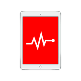 iPad Pro 11-inch Diagnosis Service